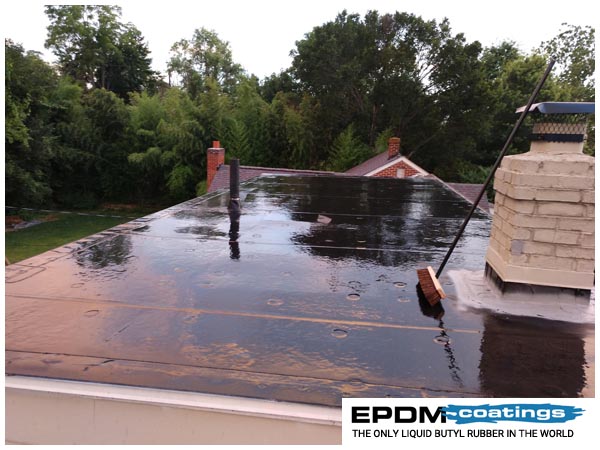 Roof leaks